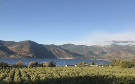 Summer view of lake