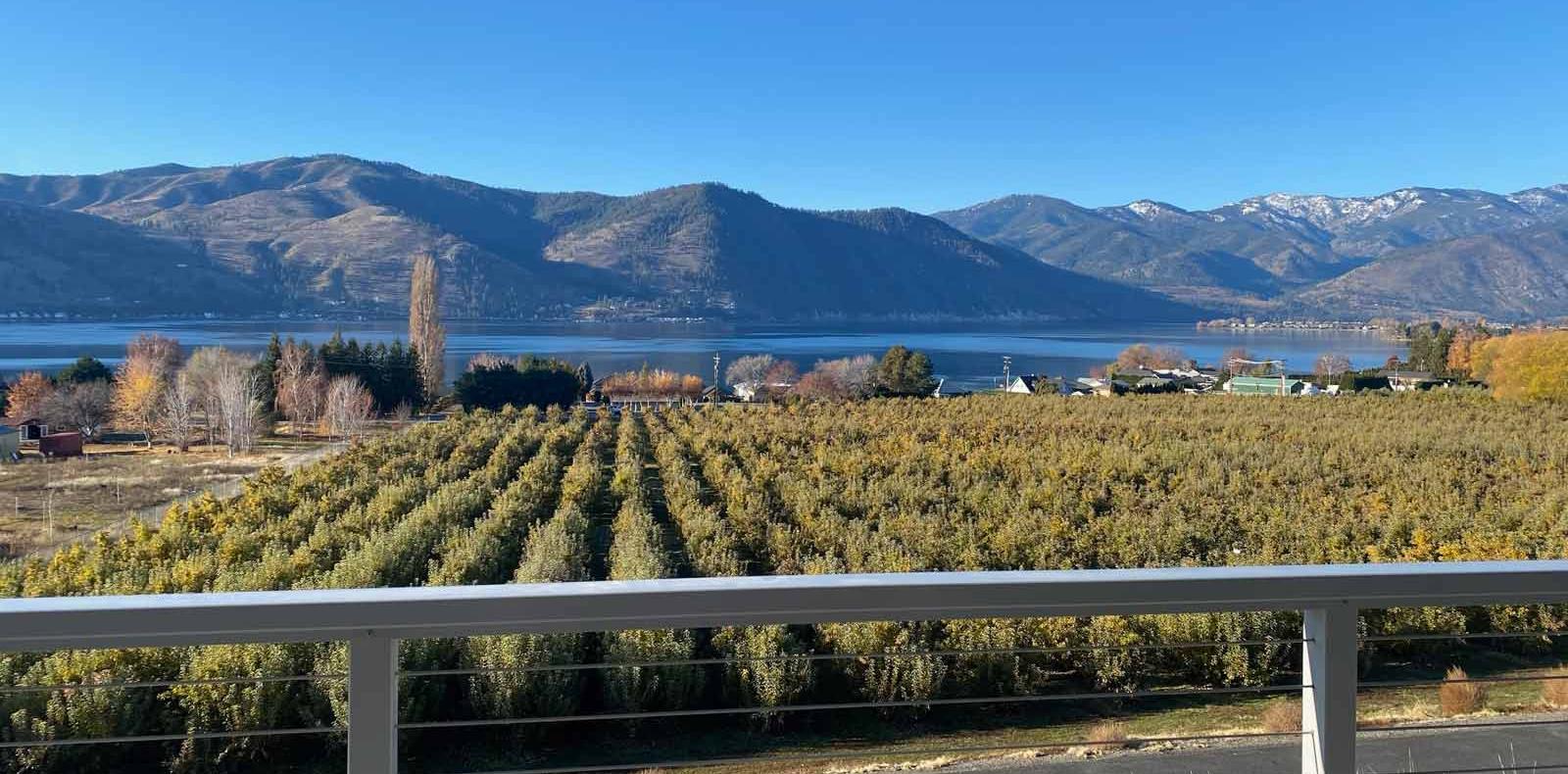 Vineyards near Lake Chelan